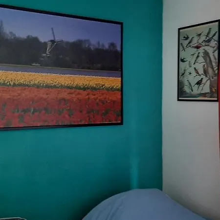 Nicole, Not For Parties, Not A Hotel, With Shared Bathroom, No Kitchen Amesterdão